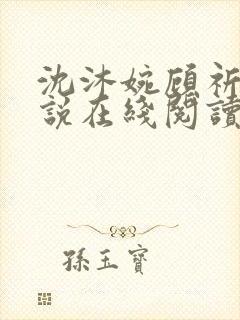 沈沐婉顾祈安小说在线阅读