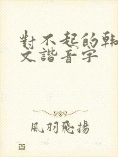 对不起的韩语中文谐音字