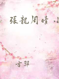 张龙周晴 小说