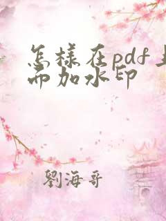 怎样在pdf上面加水印