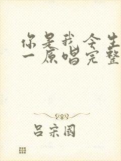 你是我今生的唯一原唱完整版