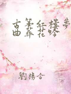 古筝红楼梦主题曲葬花吟