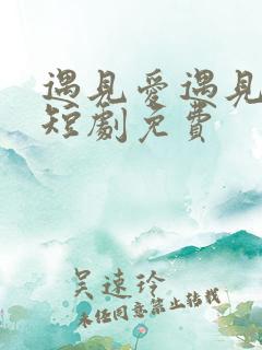 遇见爱遇见幸福短剧免费
