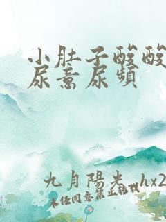 小肚子酸酸的有尿意尿频