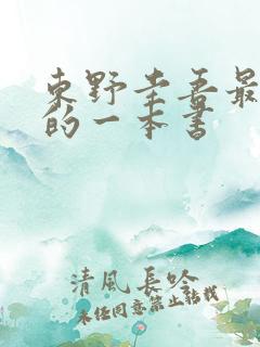 东野圭吾最好看的一本书
