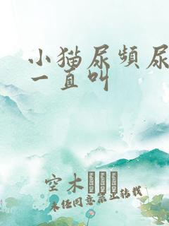 小猫尿频尿少还一直叫