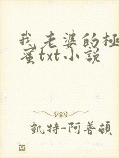 我老婆的极品闺蜜txt小说