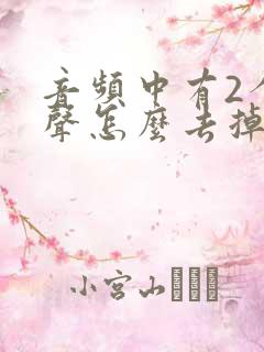 音频中有2个人声怎么去掉一个