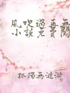 风吹过再无归期小说免费阅读