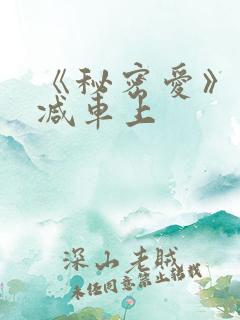 《秘密爱》未删减车上