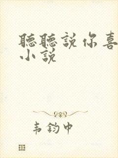 听听说你喜欢我小说
