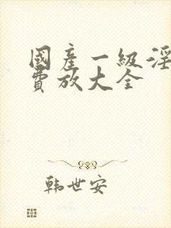 国产一级淫片免费放大全