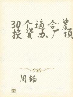 30个适合农村投资办厂项目