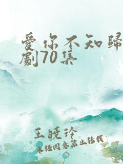 爱你不知归途短剧70集