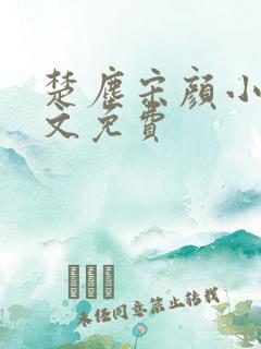楚尘宋颜小说全文免费