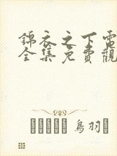 锦衣之下电视剧全集免费观看不卡泰剧