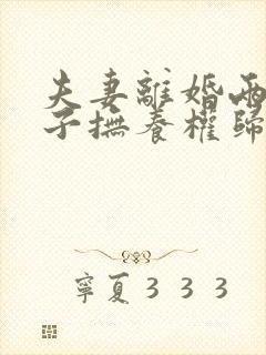 夫妻离婚两个孩子抚养权归谁抚养