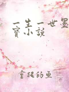 一生一世墨宝非宝小说