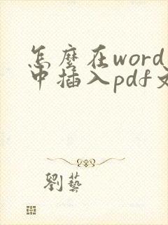怎么在word中插入pdf文件