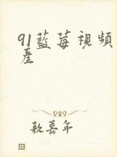 91蓝莓视频国产