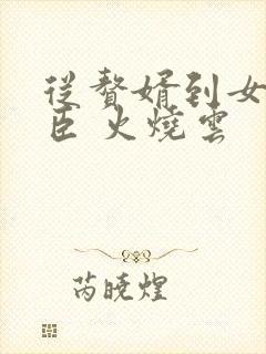 从赘婿到女帝宠臣 火烧云