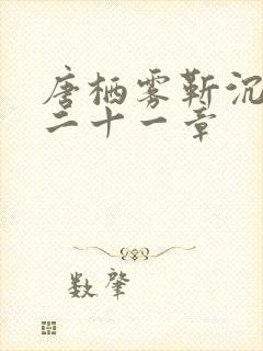 唐栖雾靳沉野第二十一章