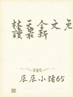 林天全文免费阅读最新
