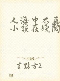 人海中不再相见小说在线阅读