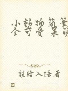 小动物简笔画大全可爱 呆萌