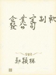 企业定制软件开发公司