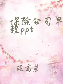 保险公司早会流程ppt