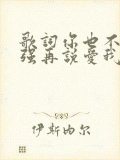 歌词你也不必牵强再说爱我是什么歌