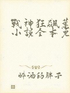 战神狂飙叶无缺小说全本免费下载