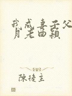 我成妻子父亲的月老曲颖