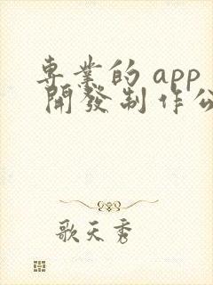 专业的 app 开发制作公司
