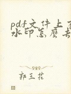 pdf文件上有水印怎么去除