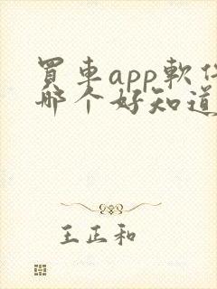 买车app软件哪个好知道