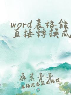 word表格能直接转换成excel表吗