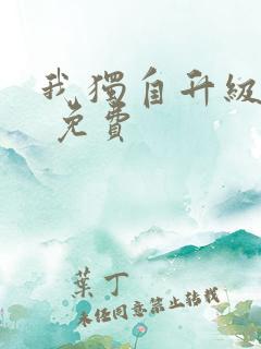 我独自升级小说 免费