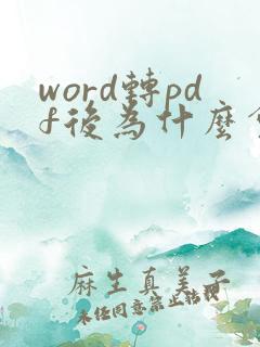 word转pdf后为什么会有空白页