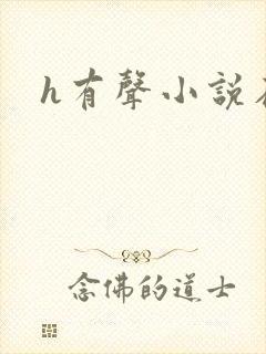 h有声小说在线
