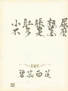 小肚胀想尿也尿不多是怎么回事