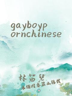 gayboypornchinese