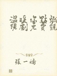 温暖你点燃我电视剧免费观看全集