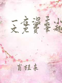 一夜温柔小可全文免费笔趣阁