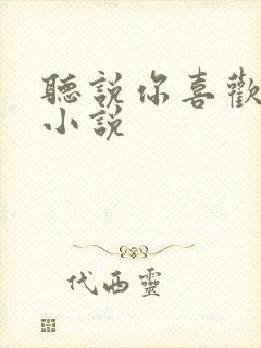 听说你喜欢我 小说