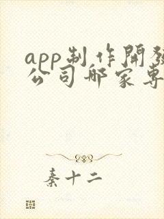 app制作开发公司哪家专业