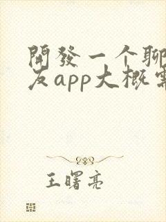 开发一个聊天交友app大概需要多少钱
