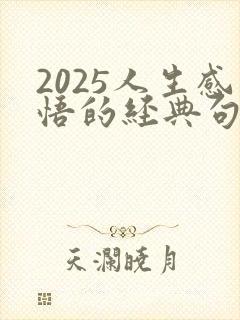 2025人生感悟的经典句子