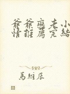 爷爷恋老小说言情推荐完结